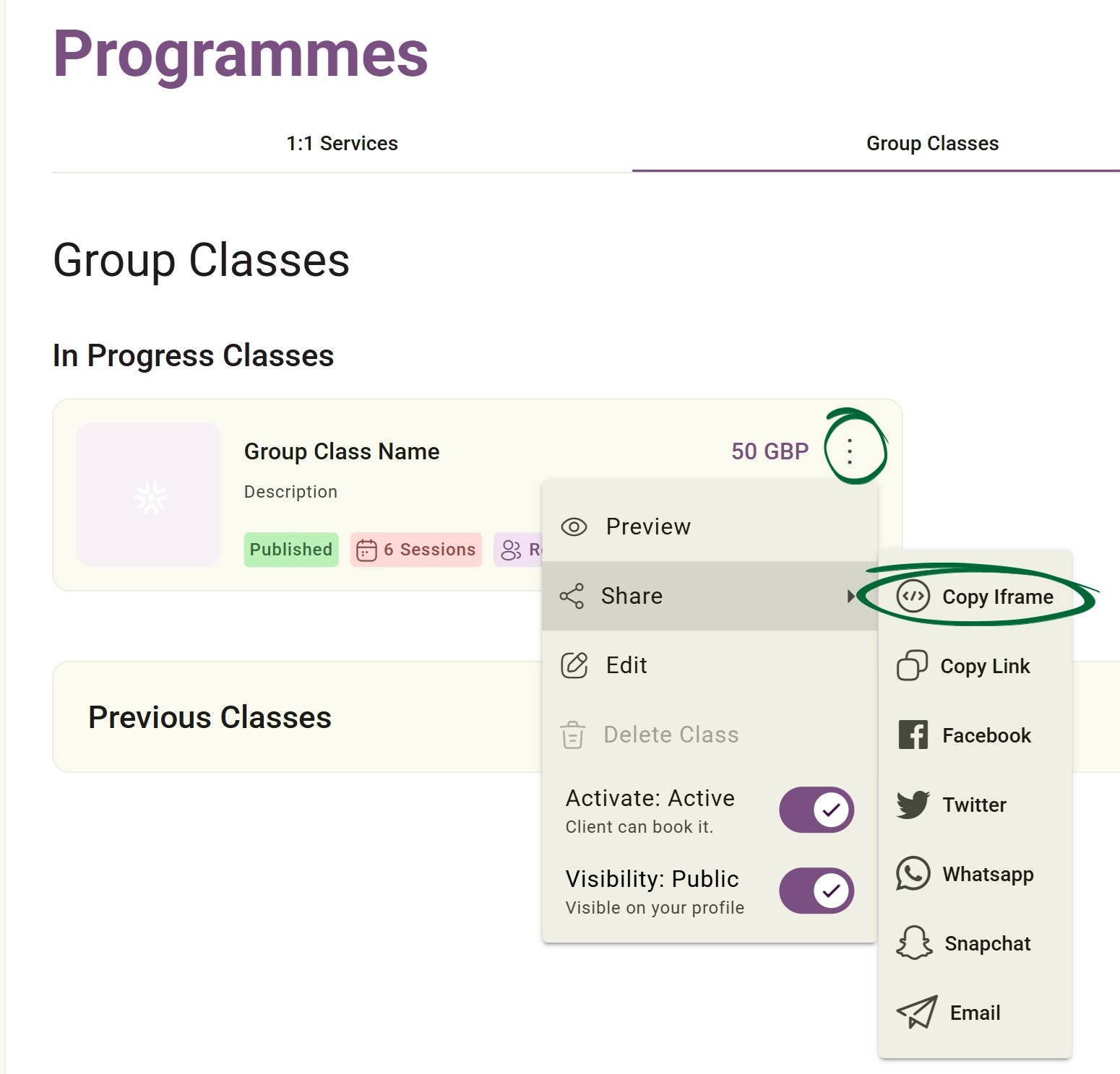 Copy Iframe screenshot